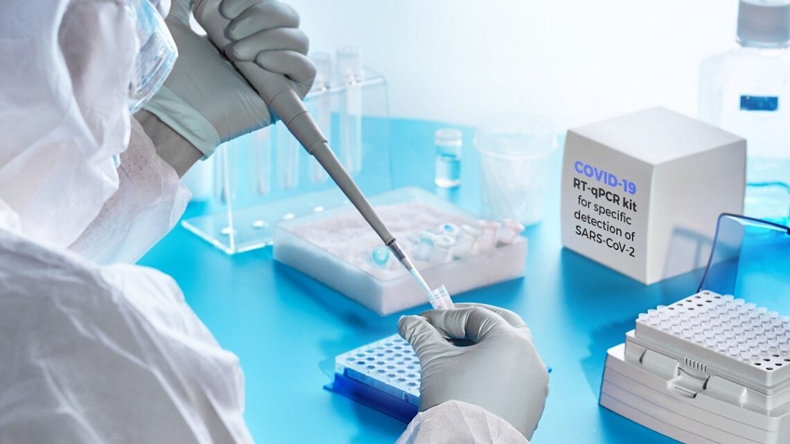 pcr testi nedir