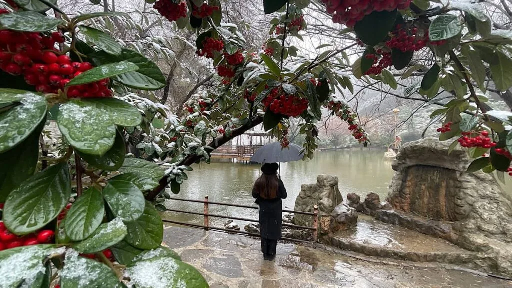 manisa gezilecek yerler mesir tabiat parkı