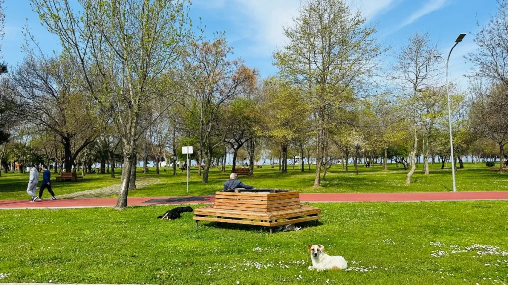 dogu park samsun