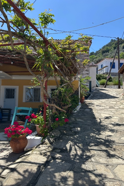 Samos Adası Gezilecek Yerler | 4 Günlük Samos Rehberi samos adası gezilecek yerler