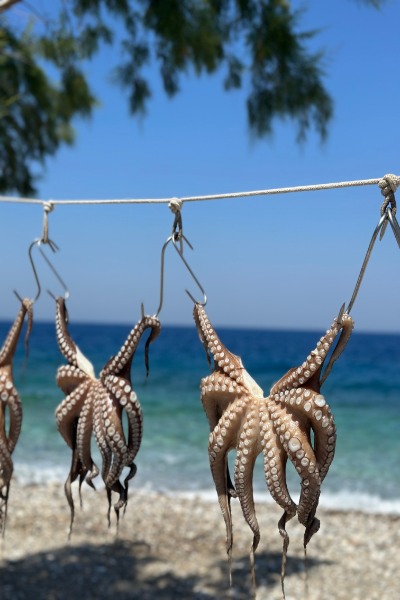 Samos’ta Ne Yenir? | Meşhur Lezzetler ve 10 Mekan Önerisi aiolos samos