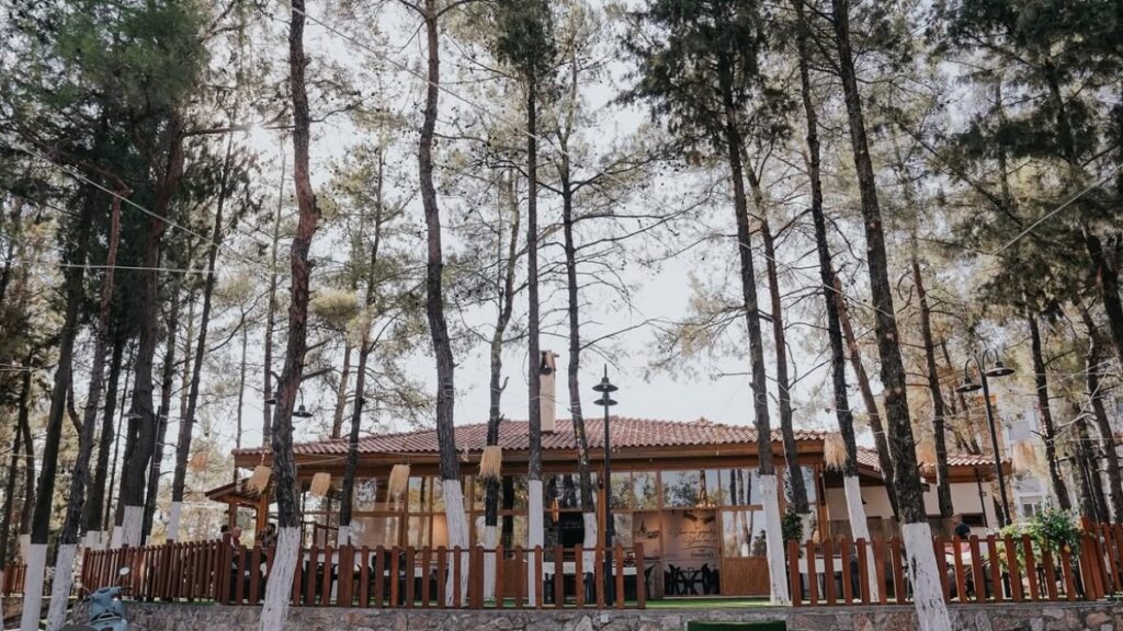 Ula'da Ne Yenir? | 6 Mekan Önerisi ula pine garden
