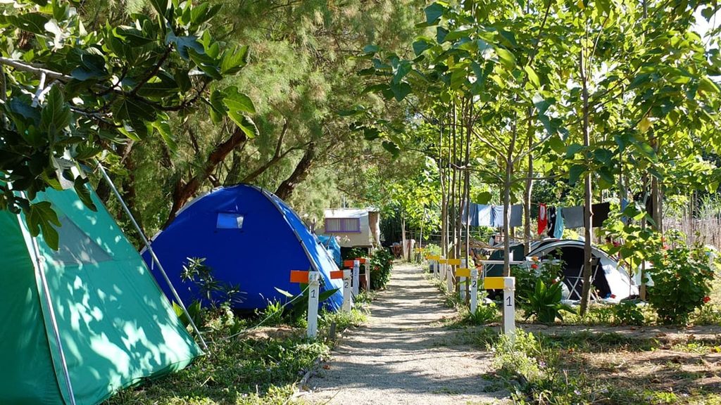 Muğla Kamp Yerleri: En Güzel 15 Kamp Alanı Önerimiz Bodrum Tent Camp