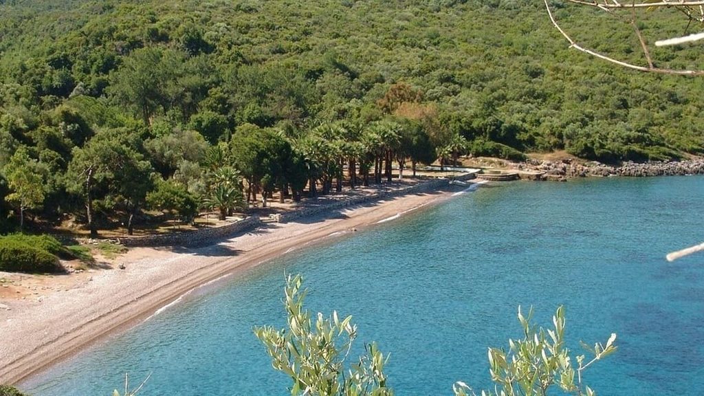 Muğla Kamp Yerleri: En Güzel 15 Kamp Alanı Önerimiz Çubucak Orman Kampı